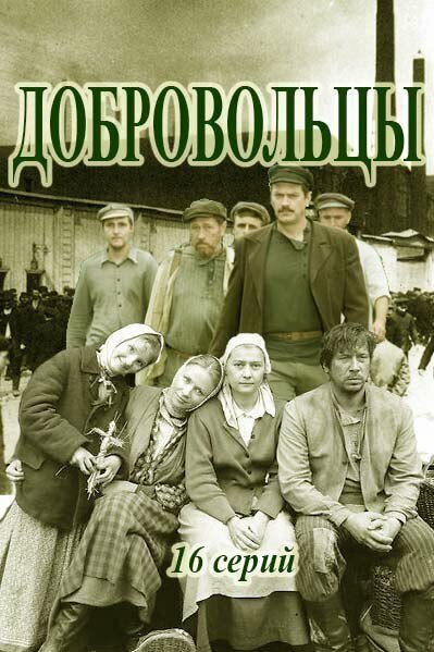 Постер Добровольцы