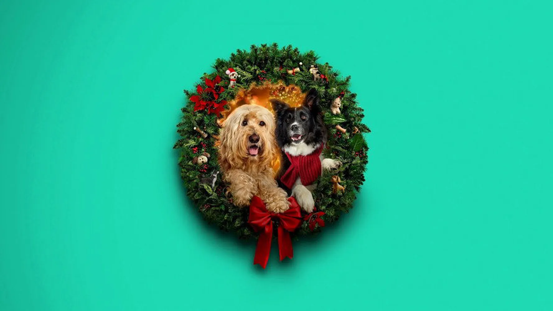 Хвостатое Рождество