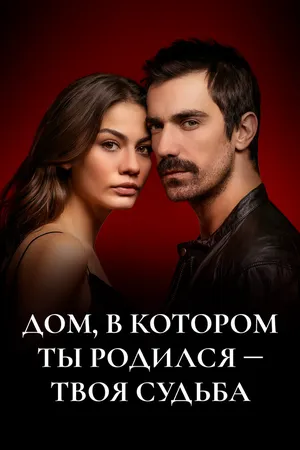 Мой дом