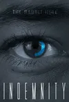 Индемнити