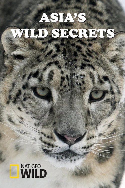 Nat Geo Wild: Тайны дикой Азии