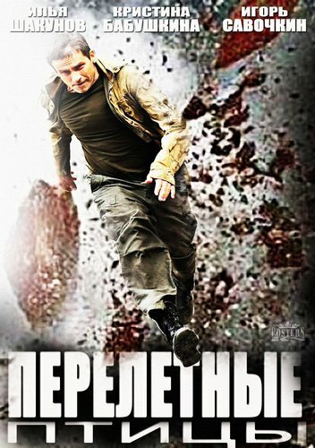 Постер Перелётные птицы