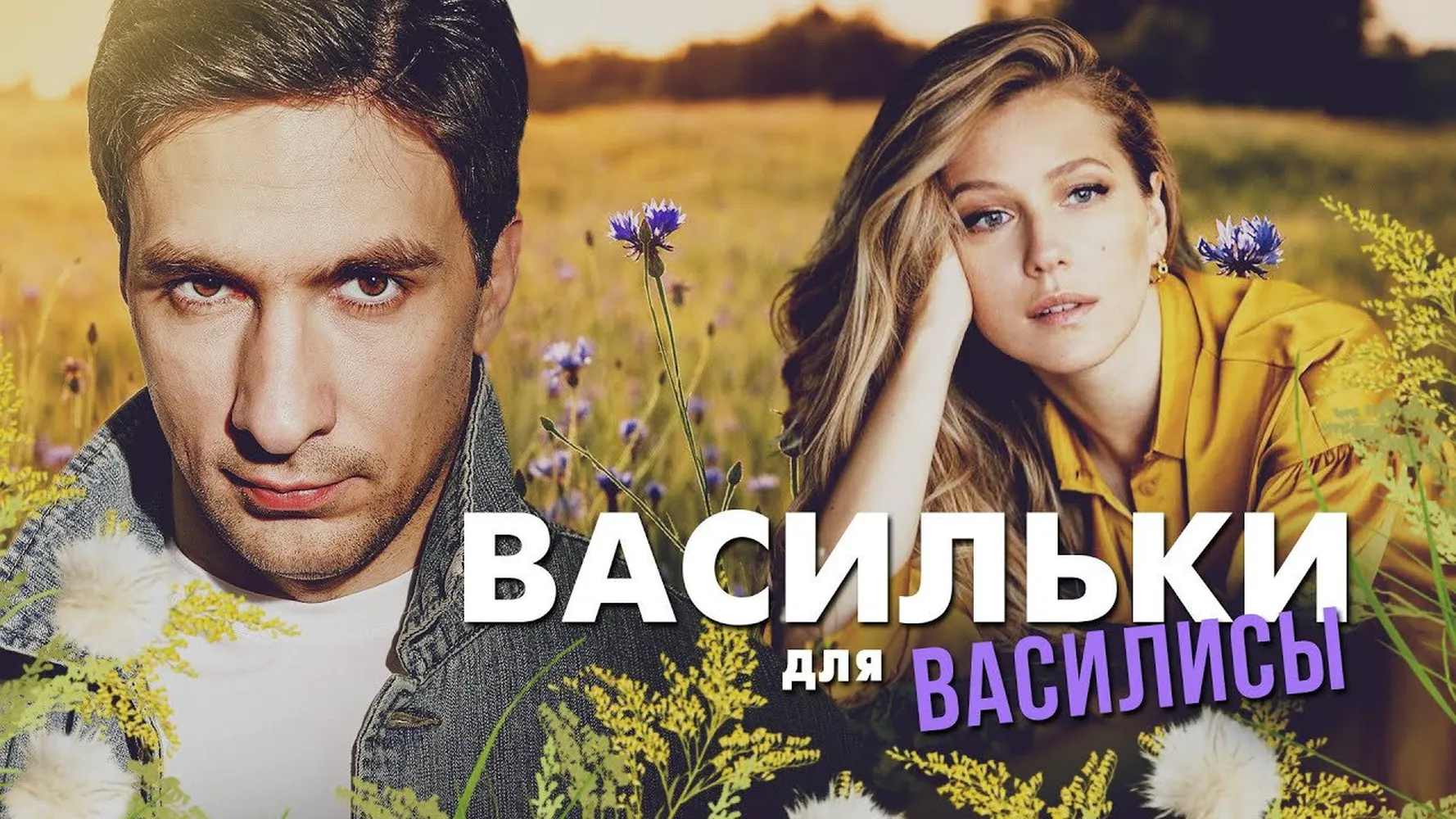 Васильки
