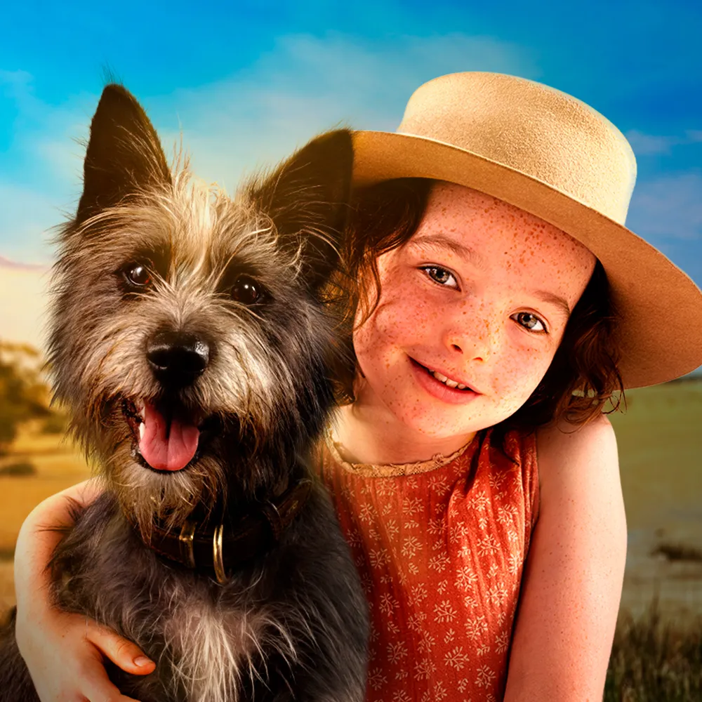 Мой любимый двортерьер