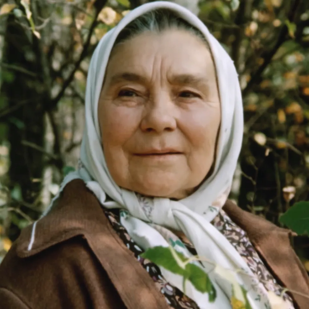 Деревья на асфальте