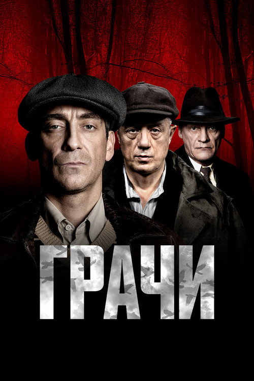 Постер Грачи