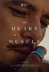Сердце — это мышца