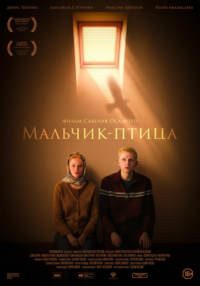 Мальчик-птица