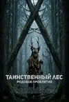 Таинственный лес. Родовое проклятие