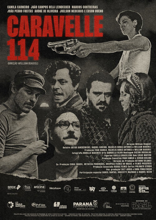 Рейс «Каравелла-114»
