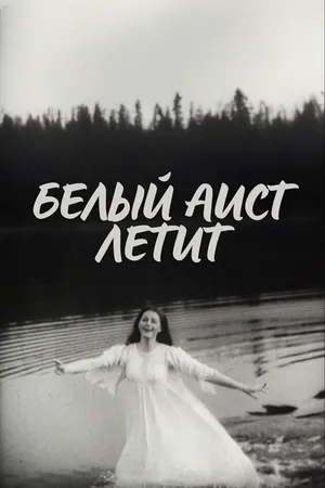 Белый аист летит