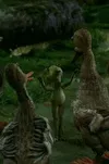 История любви одной лягушки