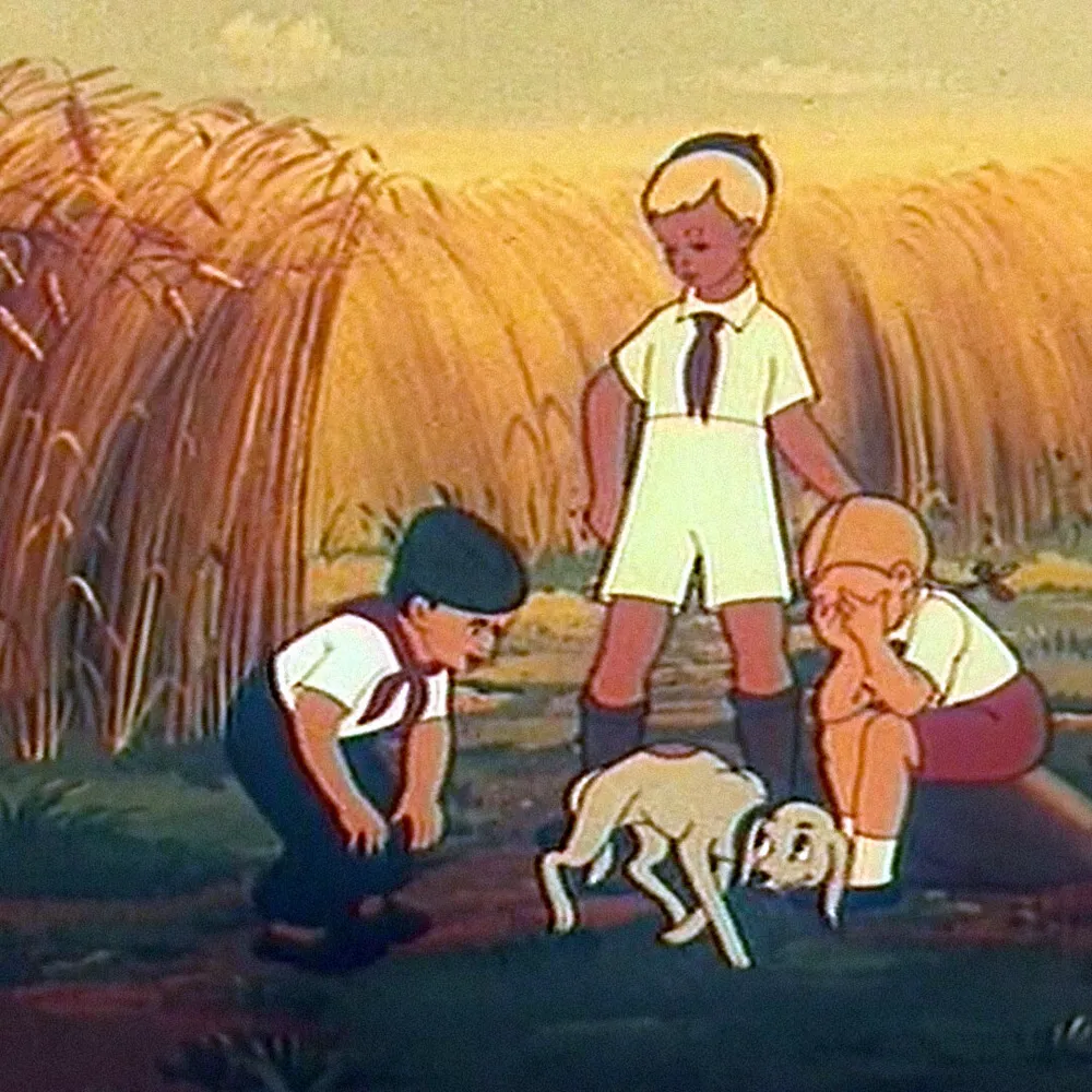 Часовые полей