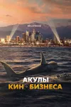 Шарксплотейшн