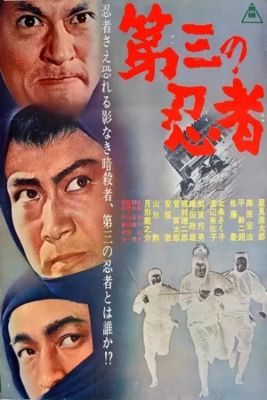Третий ниндзя