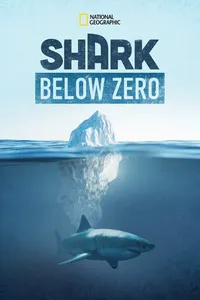 Акулы в ледяных водах