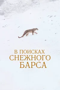 В поисках снежного барса