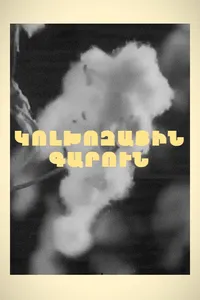 Колхозная весна (1929)