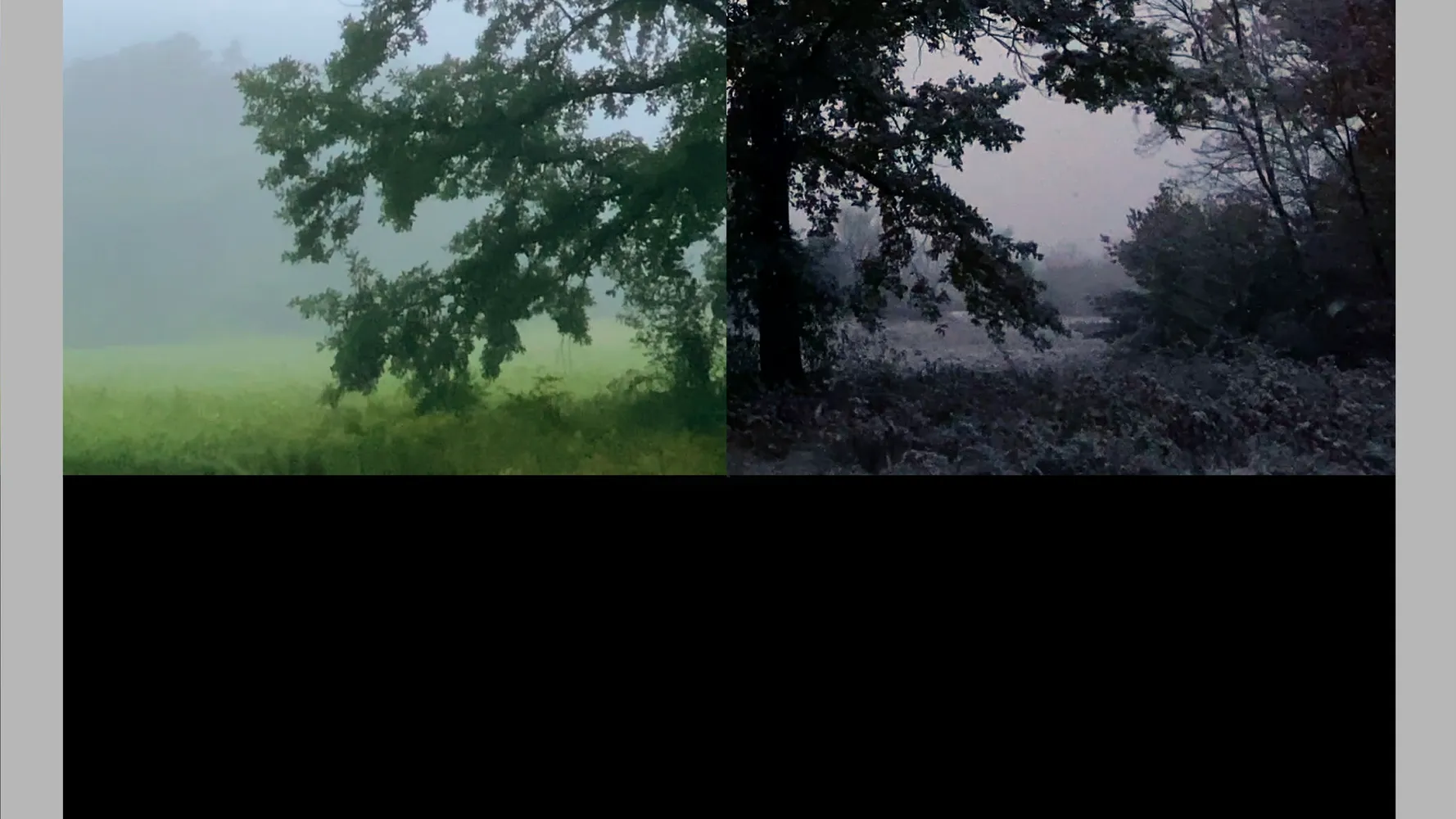 Прошлое и будущее
