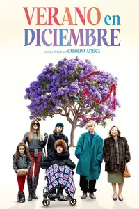 Лето в декабре (2024)