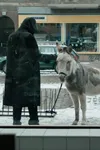 Случай