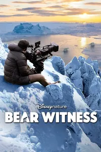 Наблюдение за медведями