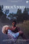 Пьяные пташки