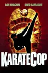 Полицейский-каратист