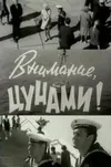 Внимание, цунами