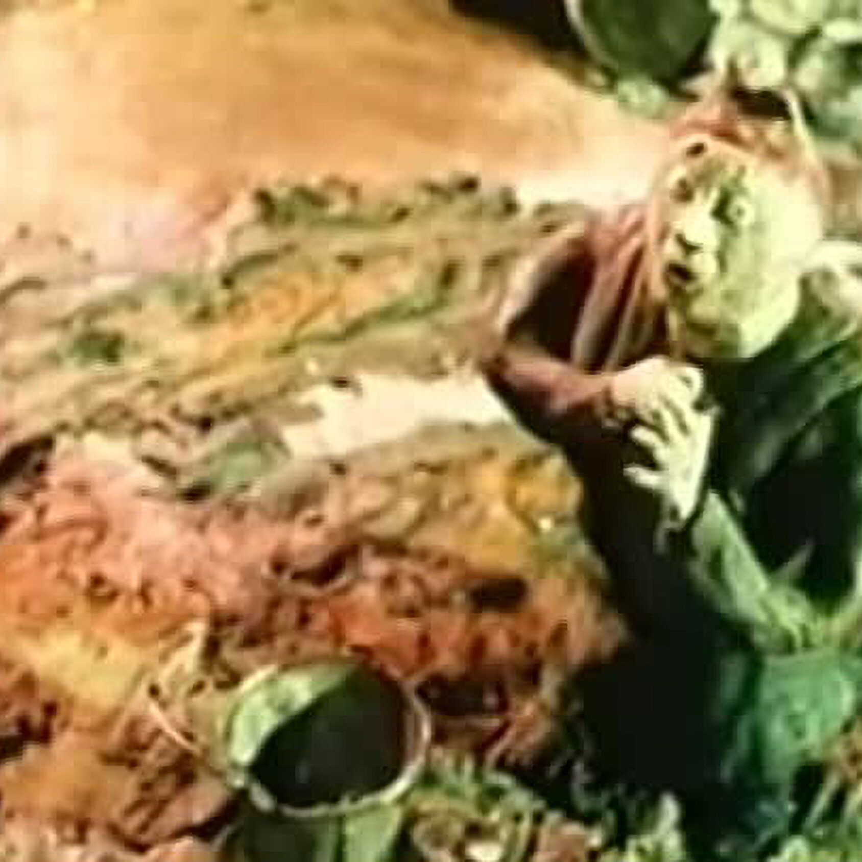 Про Матвея Кузьмича