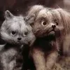Мы идем искать