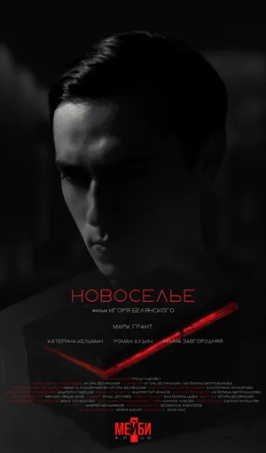Новоселье