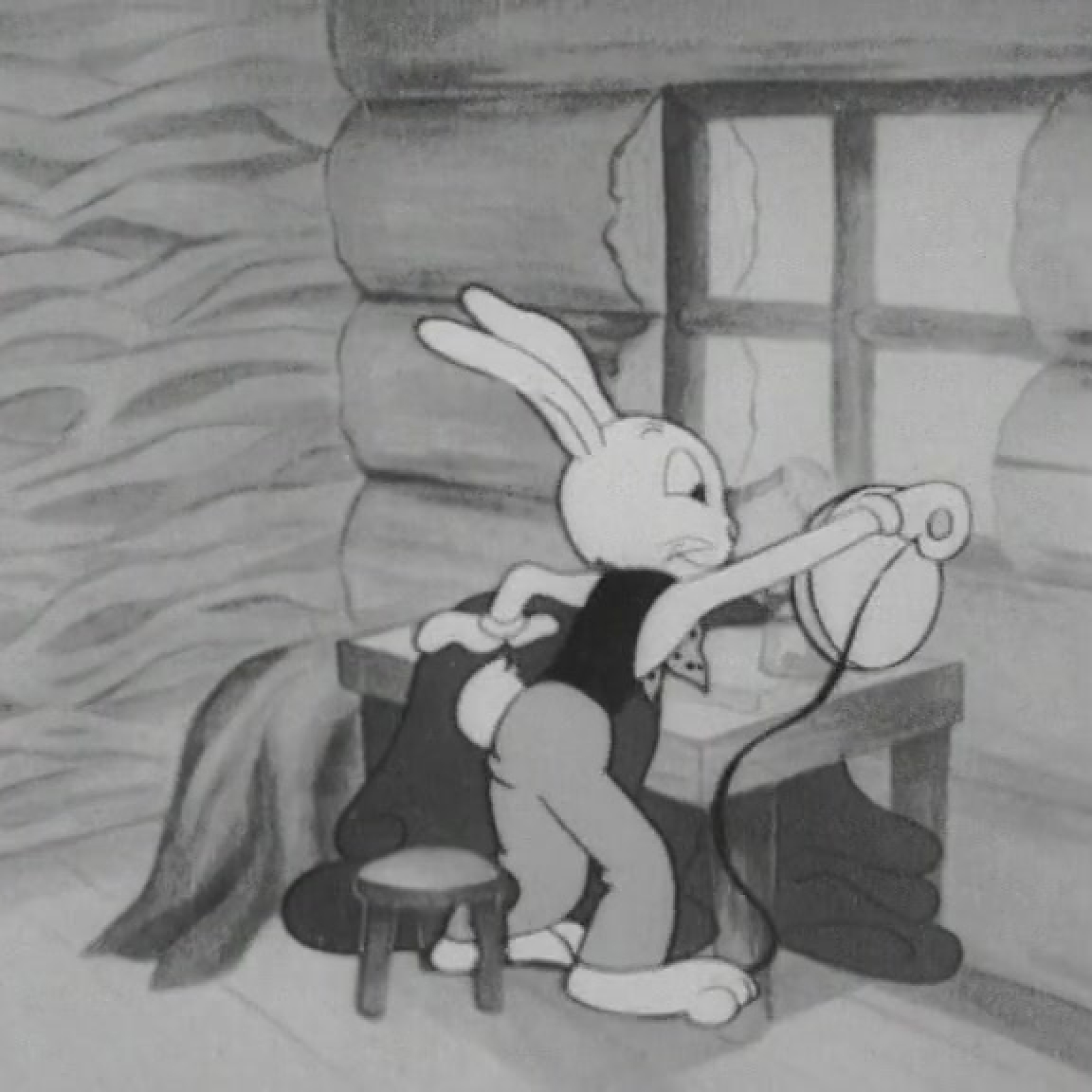 Заяц-портной