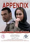 Аппендикс