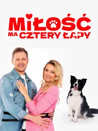 У любви четыре лапы