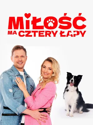 У любви четыре лапы