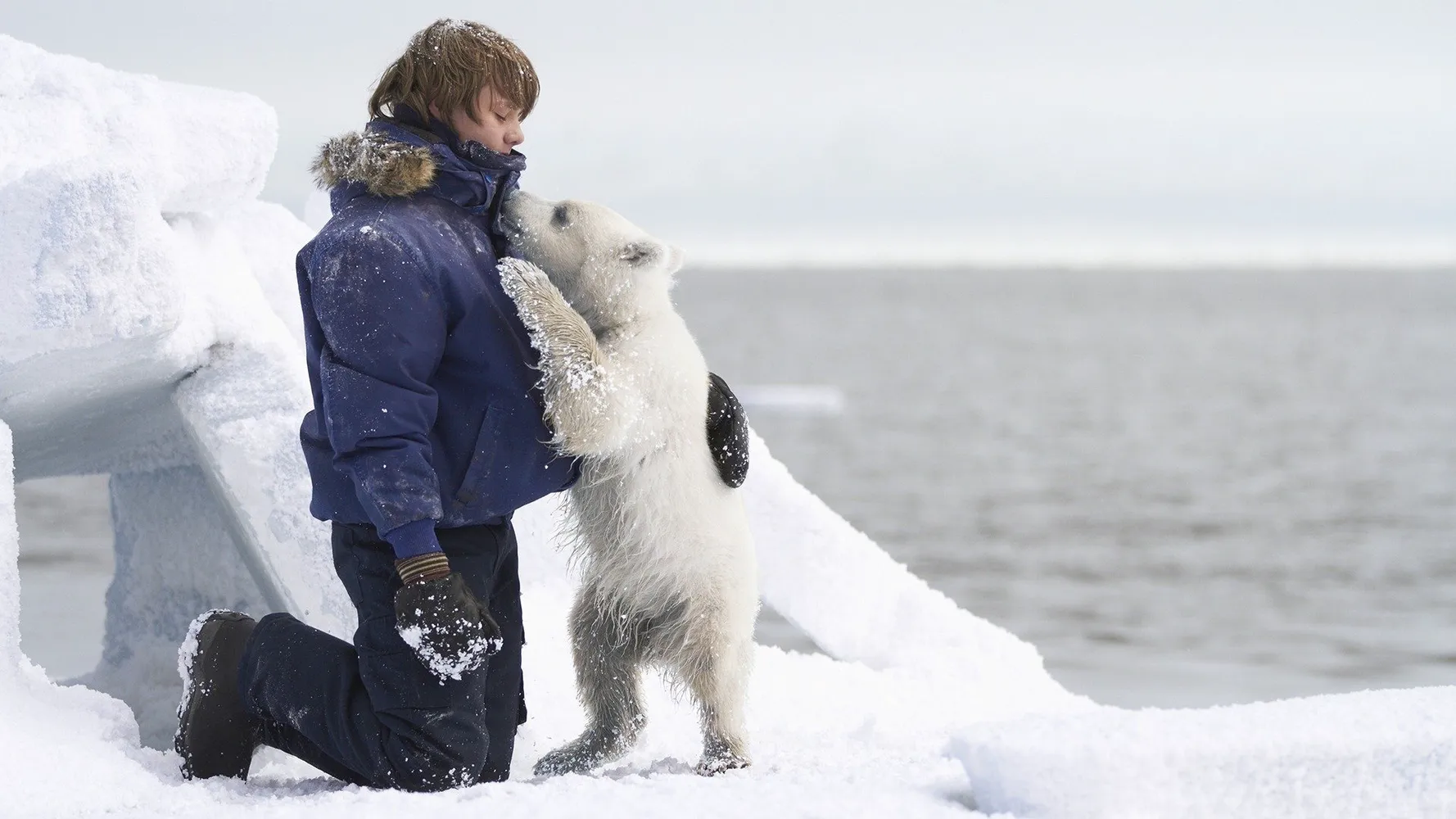 Полуночное солнце
