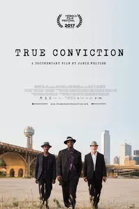 Справедливый приговор (2017)