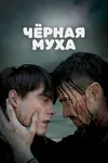 Черная муха