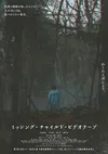 Видеозапись исчезновения ребёнка