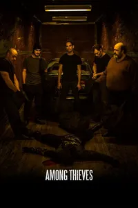 Среди грабителей (2019)