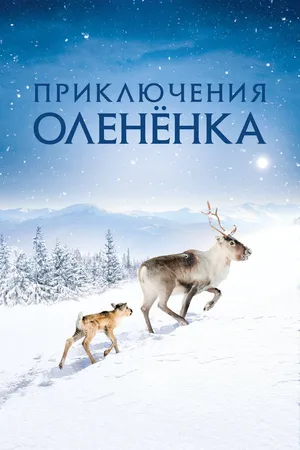 Приключения оленёнка