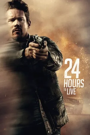 24 часа