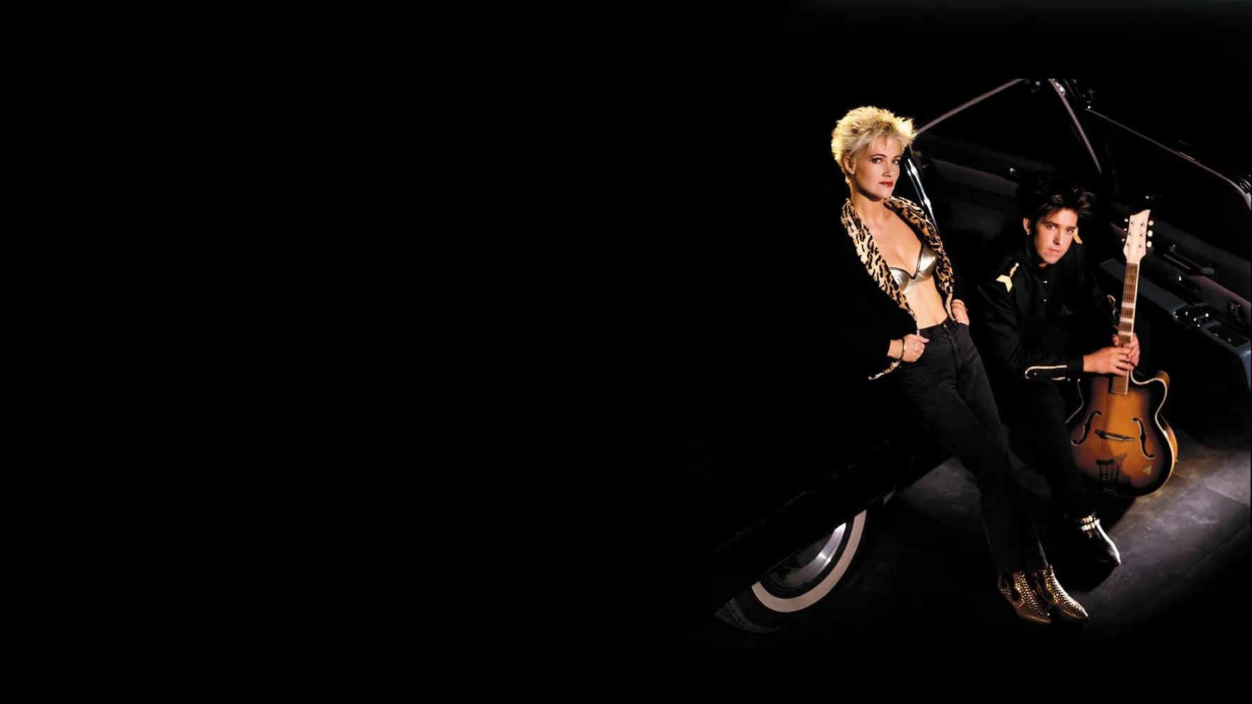 Дневники Roxette