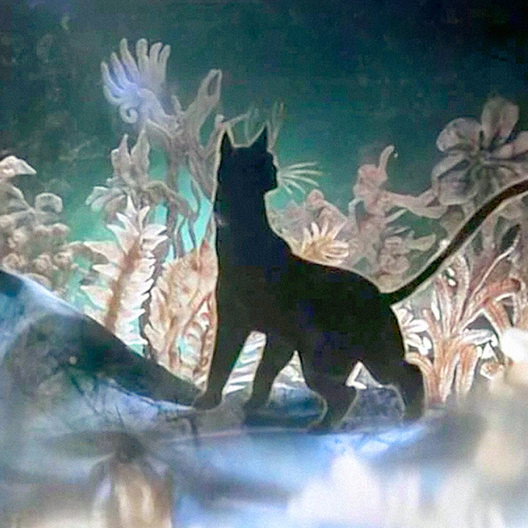 Кошка, которая гуляла сама по себе