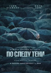 По следу тени