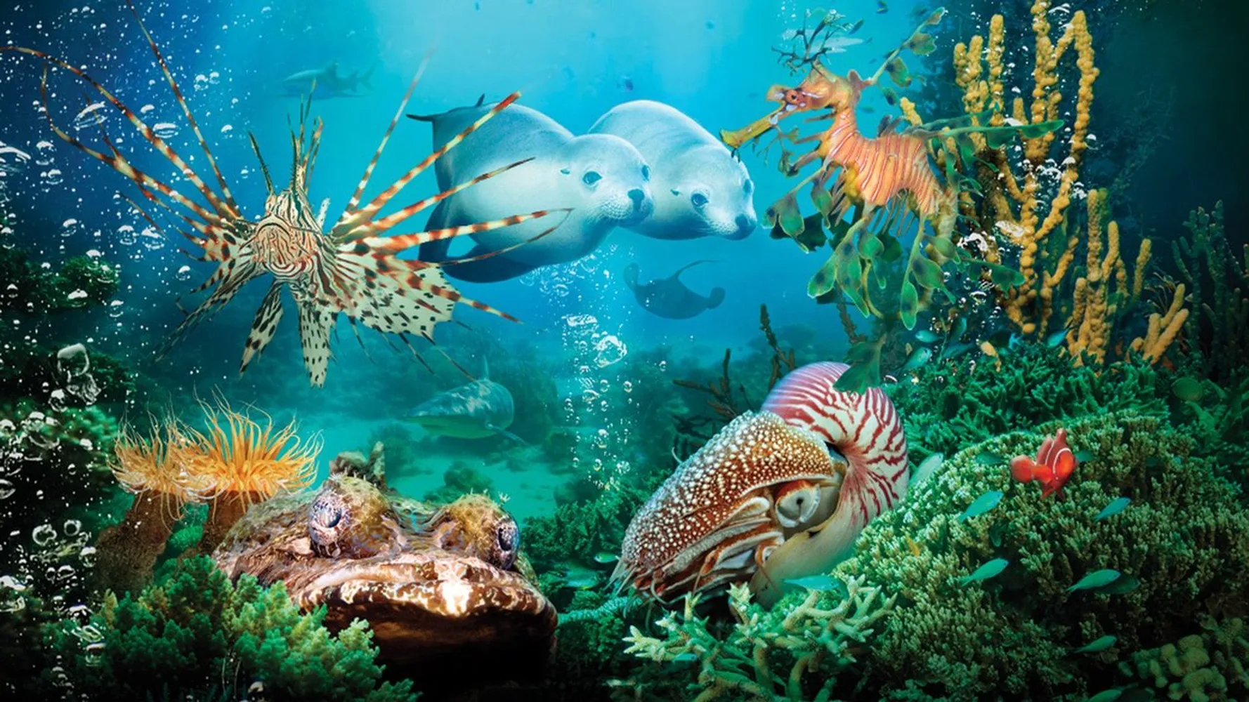 На глубине морской 3D