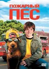 Пожарный пес