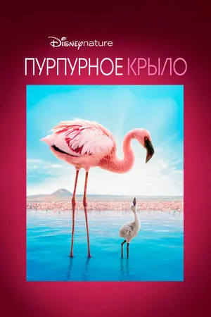 Пурпурное крыло