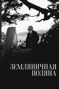 Земляничная поляна